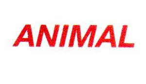 ANIMAL