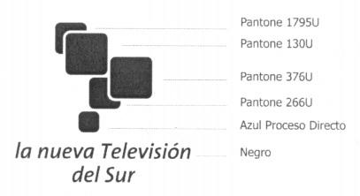 LA NUEVA TELEVISION DEL SUR