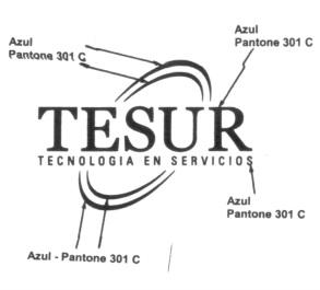 TESUR TECNOLOGIA EN SERVICIOS