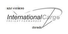 INTERNATIONAL CARGO FREIGHT FORWARDER