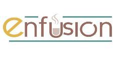 ENFUSION