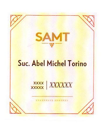 SAMT SUC. ABEL MICHEL TORINO