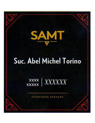 SAMT SUC. ABEL MICHEL TORINO