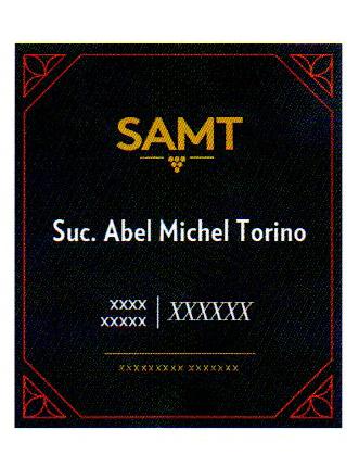 SAMT SUC. ABEL MICHEL TORINO