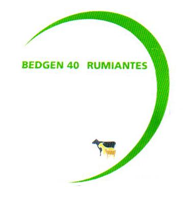 BEDGEN 40 RUMIANTES