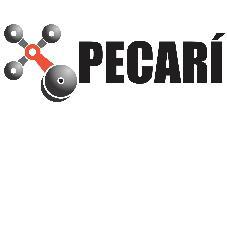 PECARÍ