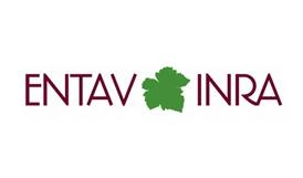 ENTAV INRA