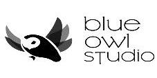 BLUE OWL STUDIO