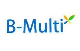 B-MULTI