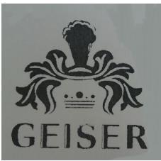 GEISER