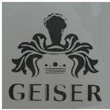 GEISER