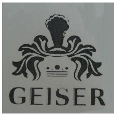 GEISER