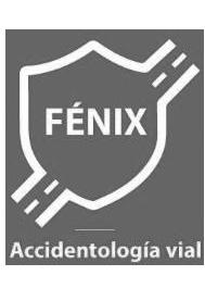 FÉNIX ACCIDENTOLOGÍA VIAL