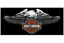 MOTOR HARLEY-DAVISON CYCLES