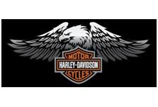 MOTOR HARLEY-DAVISON CYCLES