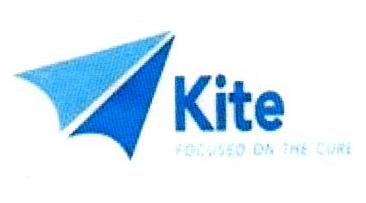 KITE FOCUSED ON THE CURE