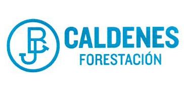 JB CALDENES FORESTACION