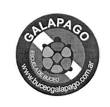 GALAPAGO ESCUELA DE BUCEO WWW.BUCEOGALAPAGO.COM.AR