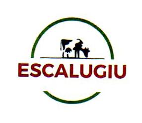 ESCALUGIU