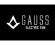 GAUSS ELECTRIC FUN