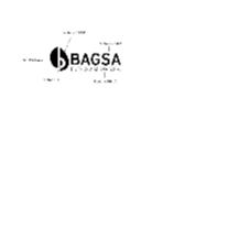 BAGSA BUENOS AIRES GAS S.A.