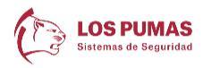 LOS PUMAS SISTEMAS DE SEGURIDAD