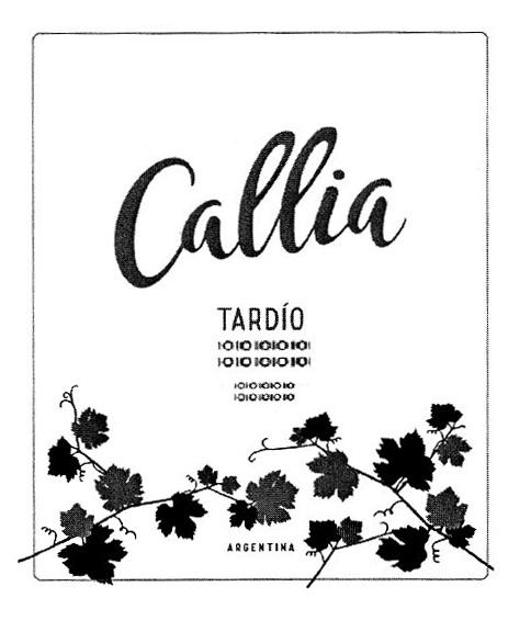 CALLIA TARDIO ARGENTINA