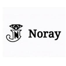 J N NORAY