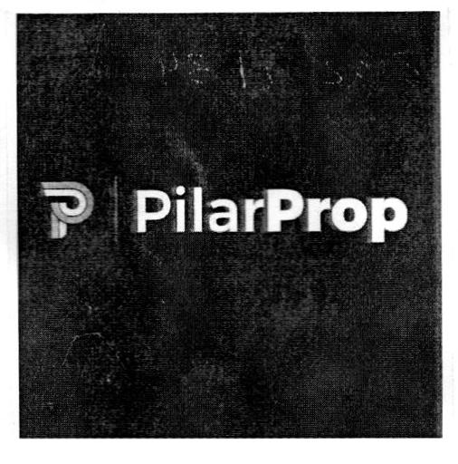 P PILAR PROP