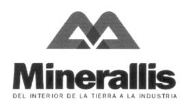 MINERALLIS DEL INTERIOR DE LA TIERRA A LA INDUSTRIA