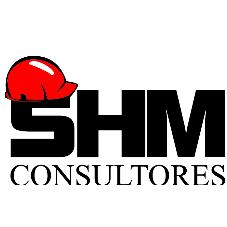 SHM CONSULTORES