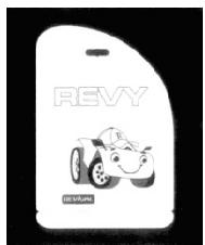 REVY REVIGAL R