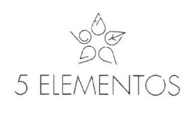 5 ELEMENTOS