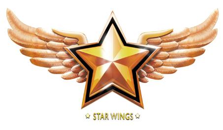 STAR WINGS