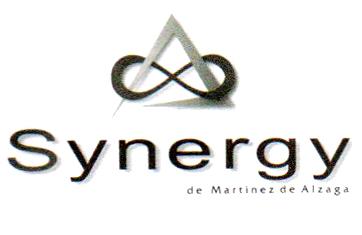 SYNERGY DE MARTINEZ DE ALZAGA