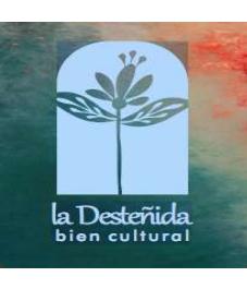 LA DESTEÑIDA BIEN CULTURAL