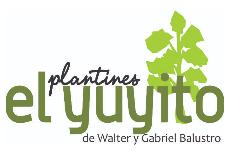 PLANTINES EL YUYITO DE WALTER Y GABRIEL BALUSTRO