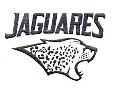 JAGUARES