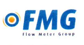 FMG FLOW METER GROUP