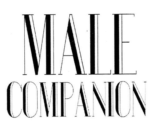 MALE COMPANION