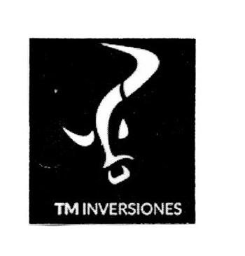 TM INVERSIONES