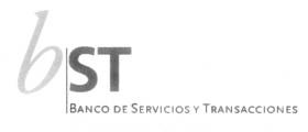 B|ST BANCO DE SERVICIOS Y TRANSACCIONES BANCA FIDUCIARIA