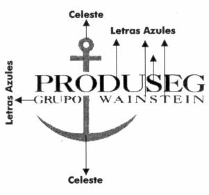 PRODUSEG GRUPO WAINSTEIN