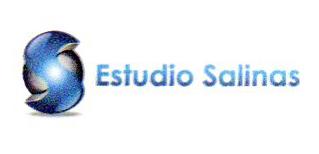 S ESTUDIO SALINAS