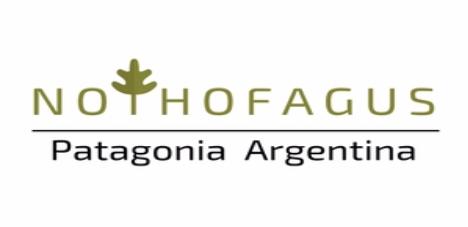 NOTHOFAGUS PATAGONIA ARGENTINA