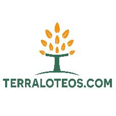 TERRALOTEOS.COM