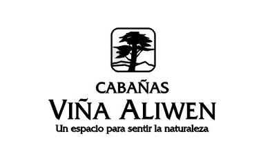 CABAÑAS VIÑA ALIWEN UN ESPACIO PARA SENTIR LA NATURALEZA