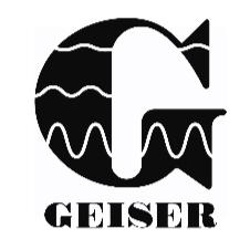 G GEISER