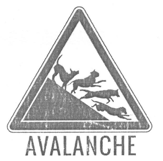 AVALANCHE