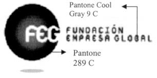 FEG FUNDACION EMPRESA GLOBAL